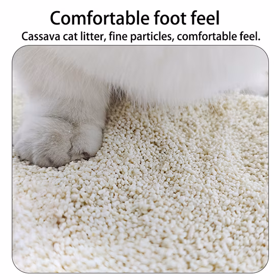 Eco-Friendly Transparent Shoe Box PP Stackable Storage Foldable Clear Shoe Box